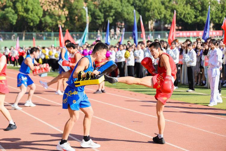 本文将详细 本文将详细