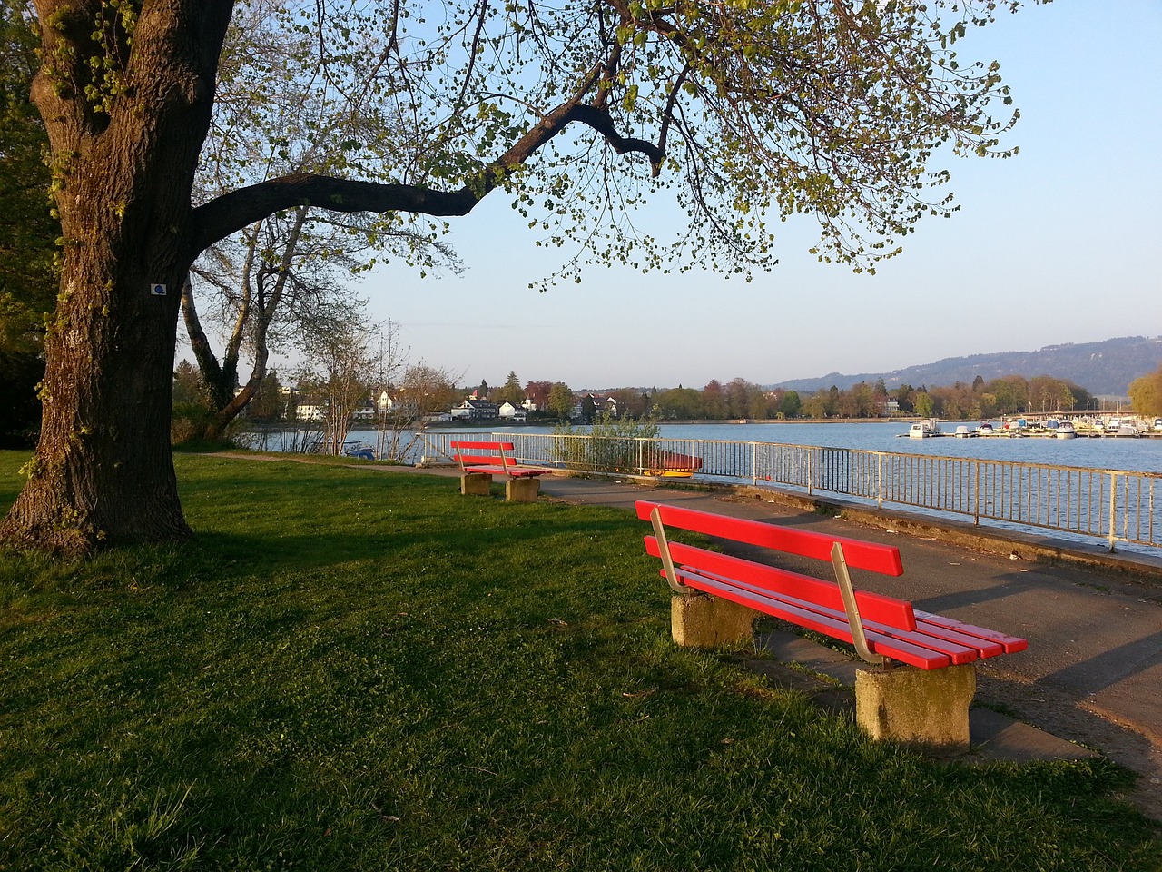 的新时代 的新时代