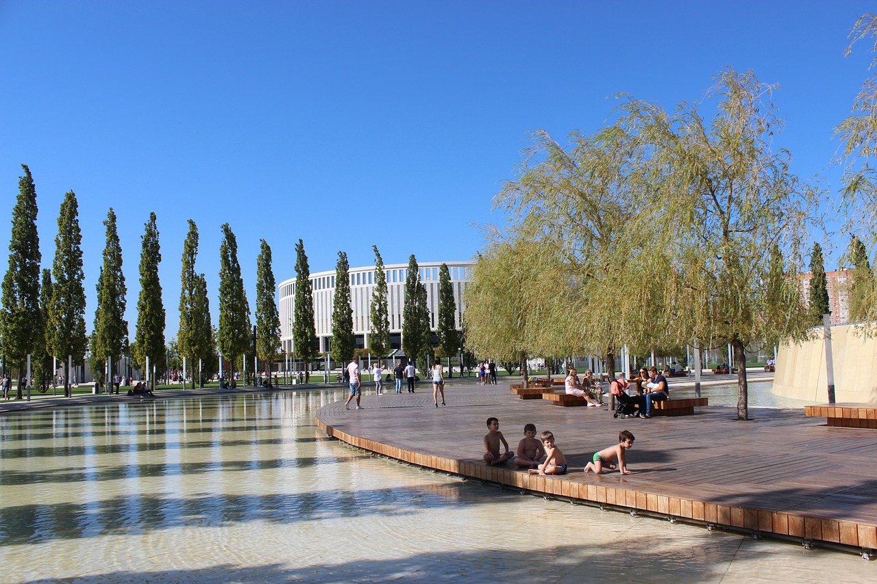 他需要找到 他需要找到