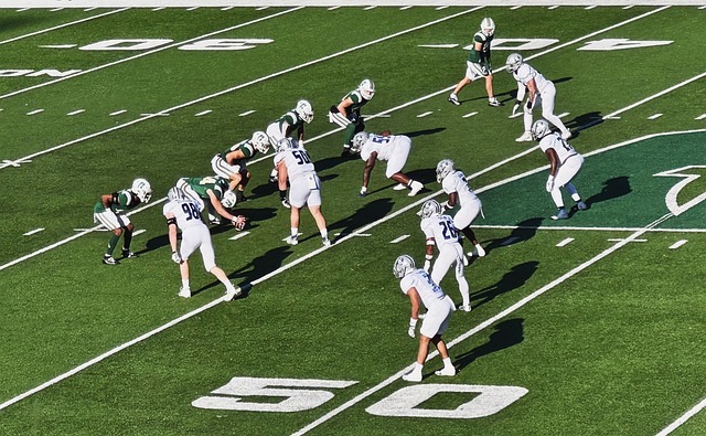 球迷留下了 球迷留下了